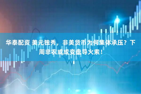华泰配资 美元独秀，非美货币为何集体承压？下周非农或成变盘导火索！