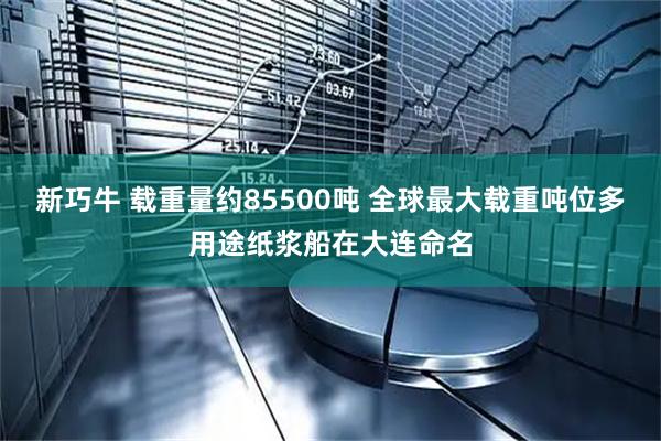 新巧牛 载重量约85500吨 全球最大载重吨位多用途纸浆船在大连命名