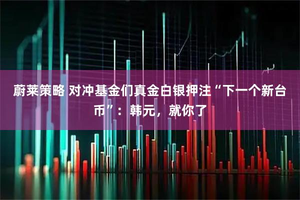 蔚莱策略 对冲基金们真金白银押注“下一个新台币”：韩元，就你了