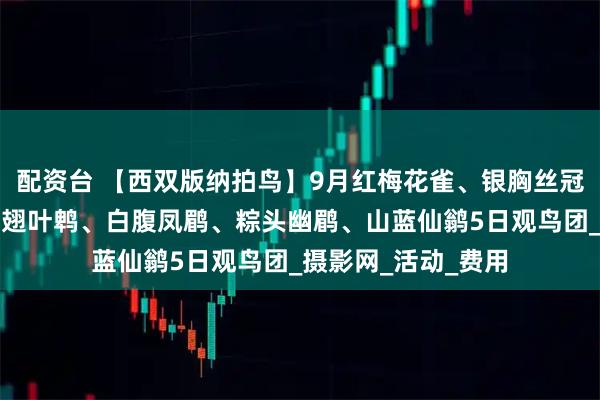 配资台 【西双版纳拍鸟】9月红梅花雀、银胸丝冠鸟、黑枕王鹟、蓝翅叶鹎、白腹凤鹛、粽头幽鹛、山蓝仙鹟5日观鸟团_摄影网_活动_费用